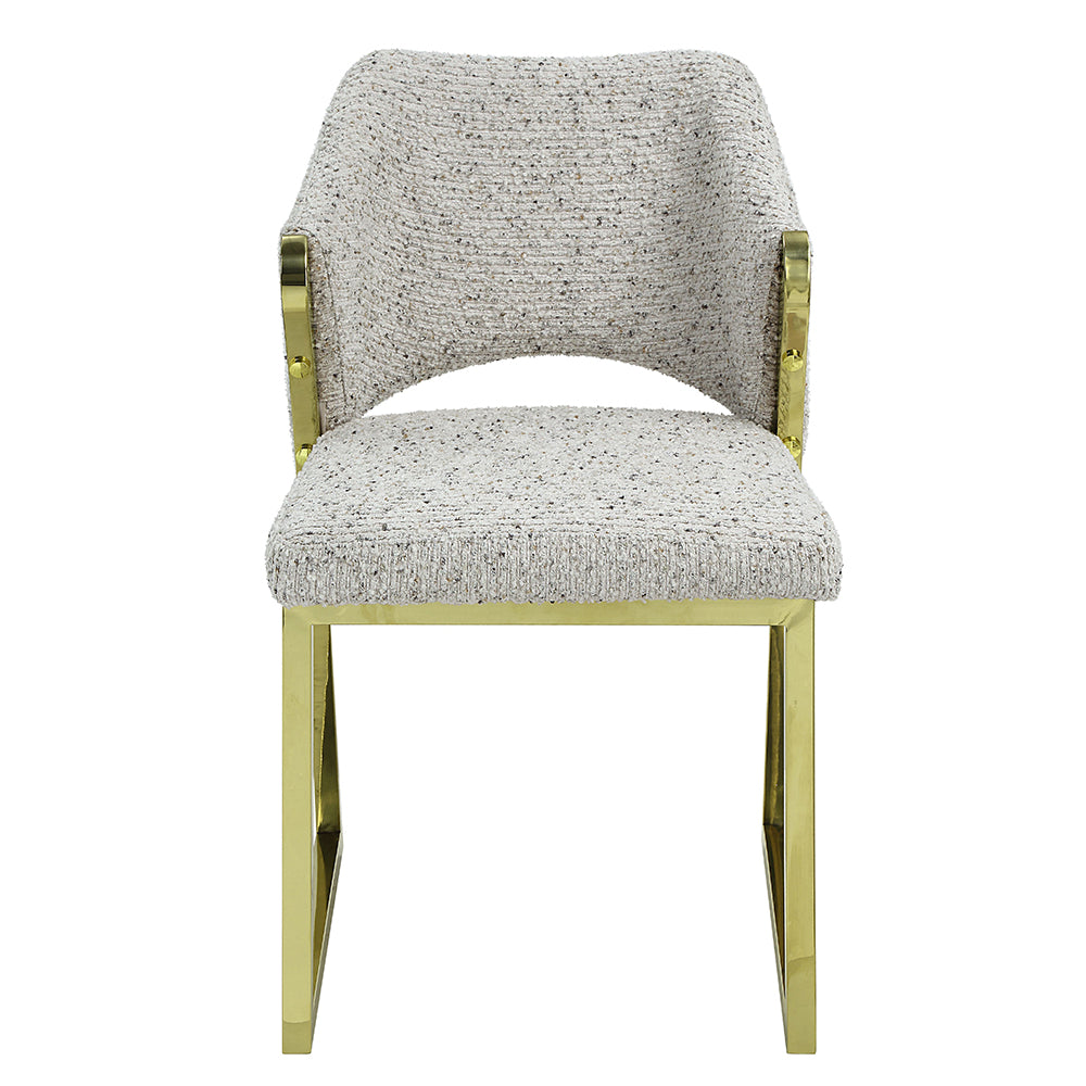 ACME Galdesa Teddy Sherpa & Mirrored Gold Side Chair (Set-2) Model DN02107