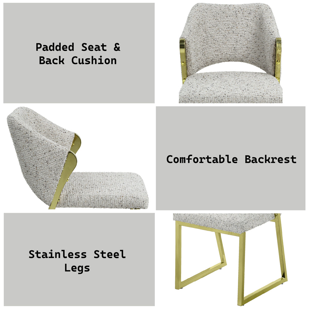 ACME Galdesa Teddy Sherpa & Mirrored Gold Side Chair (Set-2) Model DN02107
