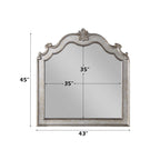 ACME Esteban Antique Champagne Mirror Model 22204