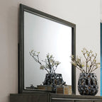 ACME Carine II Gray Mirror Model 26264