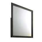 ACME Carine II Gray Mirror Model 26264
