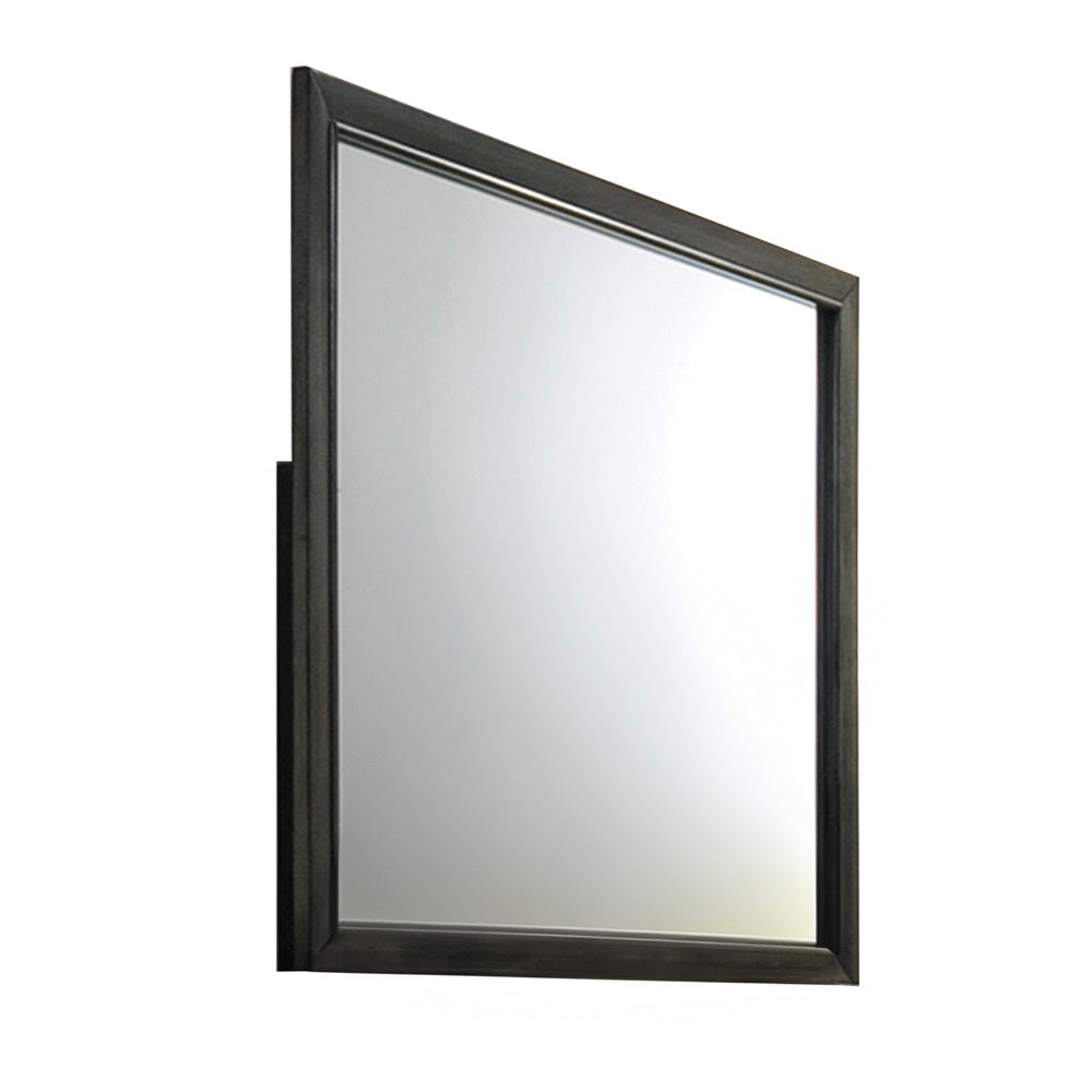 ACME Carine II Gray Mirror Model 26264
