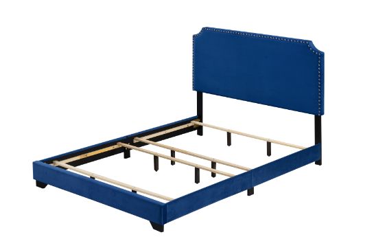 ACME Haemon Blue Velvet Queen Bed Model 26760Q