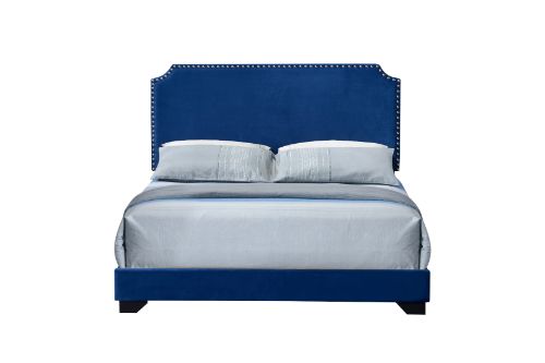ACME Haemon Blue Velvet Queen Bed Model 26760Q