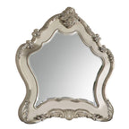 ACME Ragenardus Antique White Mirror Model 27014