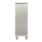 ACME Kaitlyn Champagne Chest Model 27236