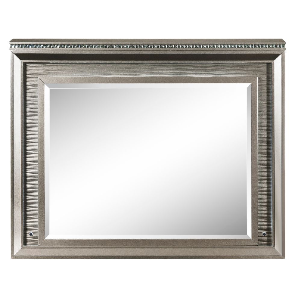 ACME Sadie Dark Champagne Mirror with LED Model 27944