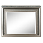 ACME Sadie Dark Champagne Mirror with LED Model 27944