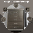 ACME Sadie Dark Champagne Chest Model 27946