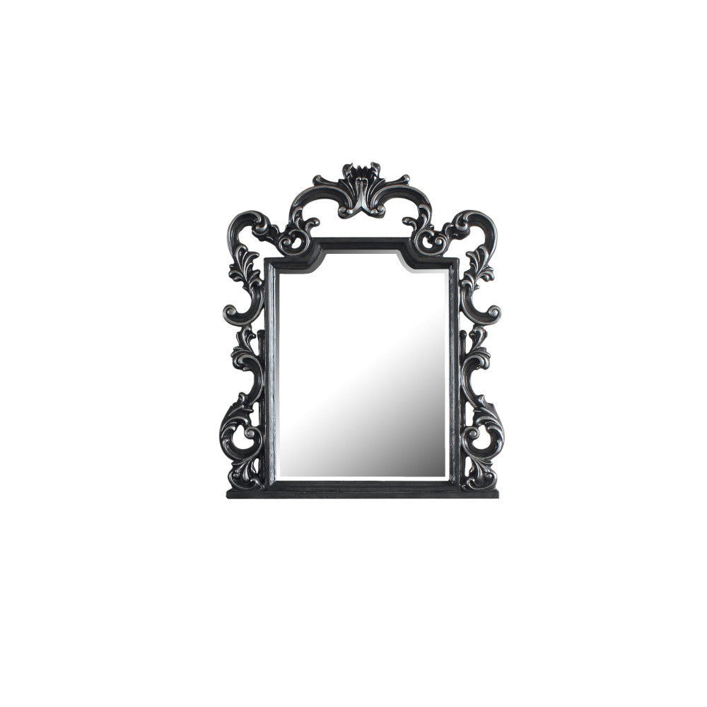 ACME House Delphine Charcoal Mirror Model 28834