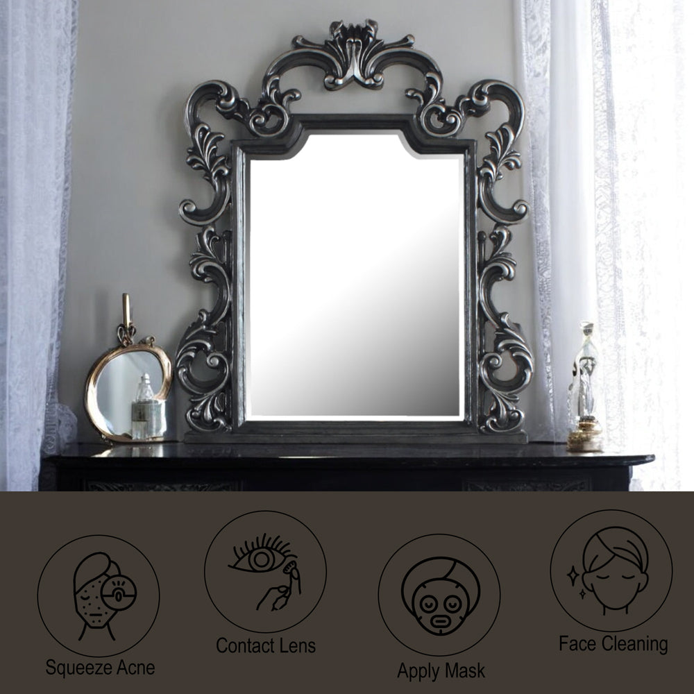 ACME House Delphine Charcoal Mirror Model 28834