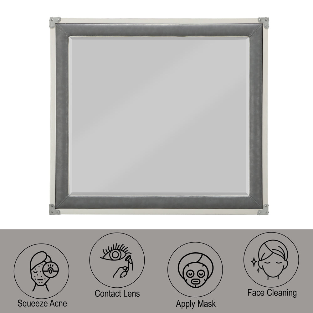 ACME Orchest Gray Mirror Model 36139