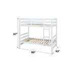 ACME Ronnie White Bunk Bed (Twin | Twin)Model 37785