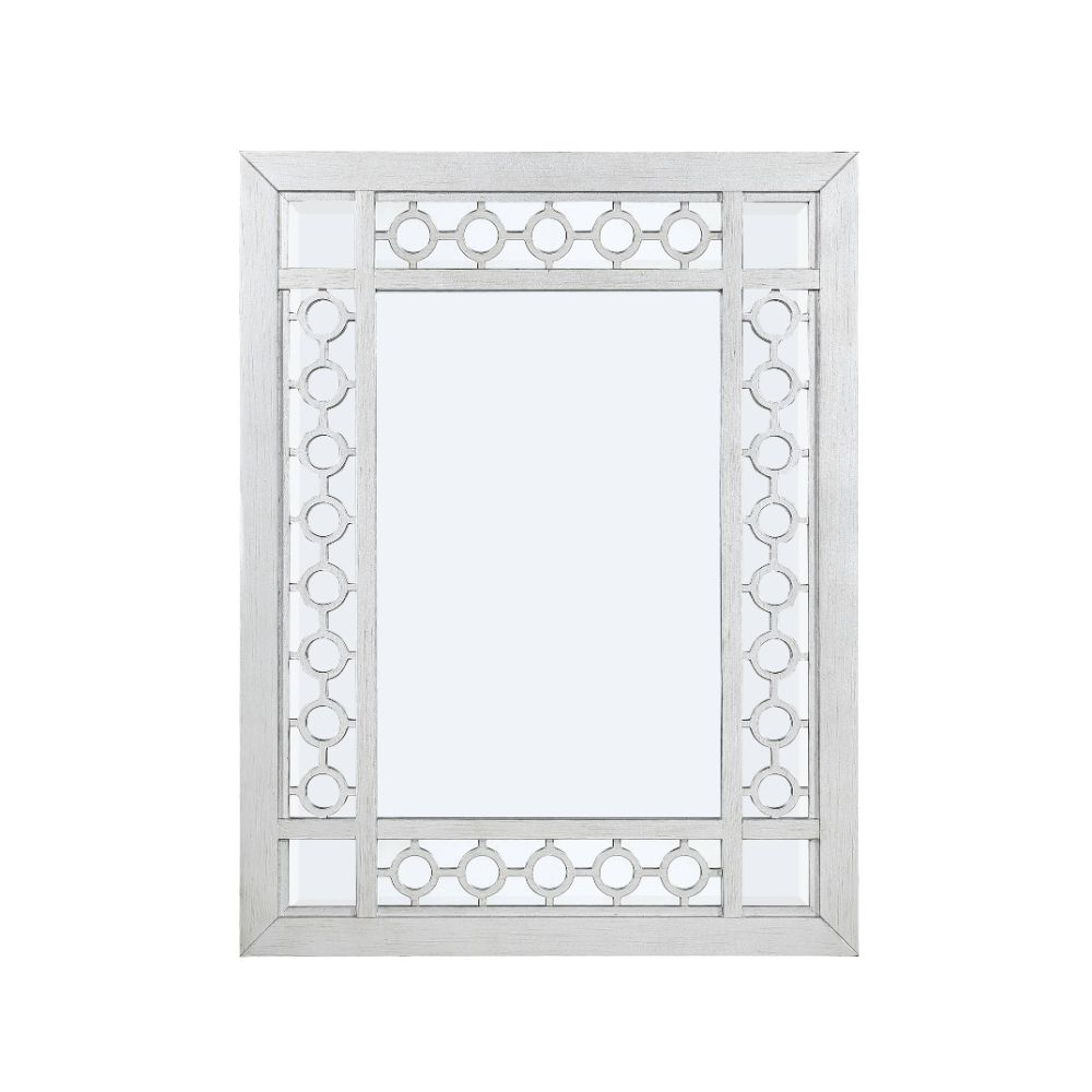 ACME Varian Mirrored & Antique Platinum Mirror Model 66158