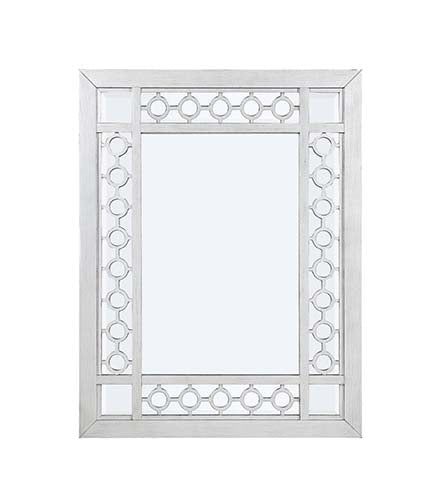 ACME Varian Mirrored & Antique Platinum Mirror Model 66158