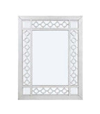 ACME Varian Mirrored & Antique Platinum Mirror Model 66158