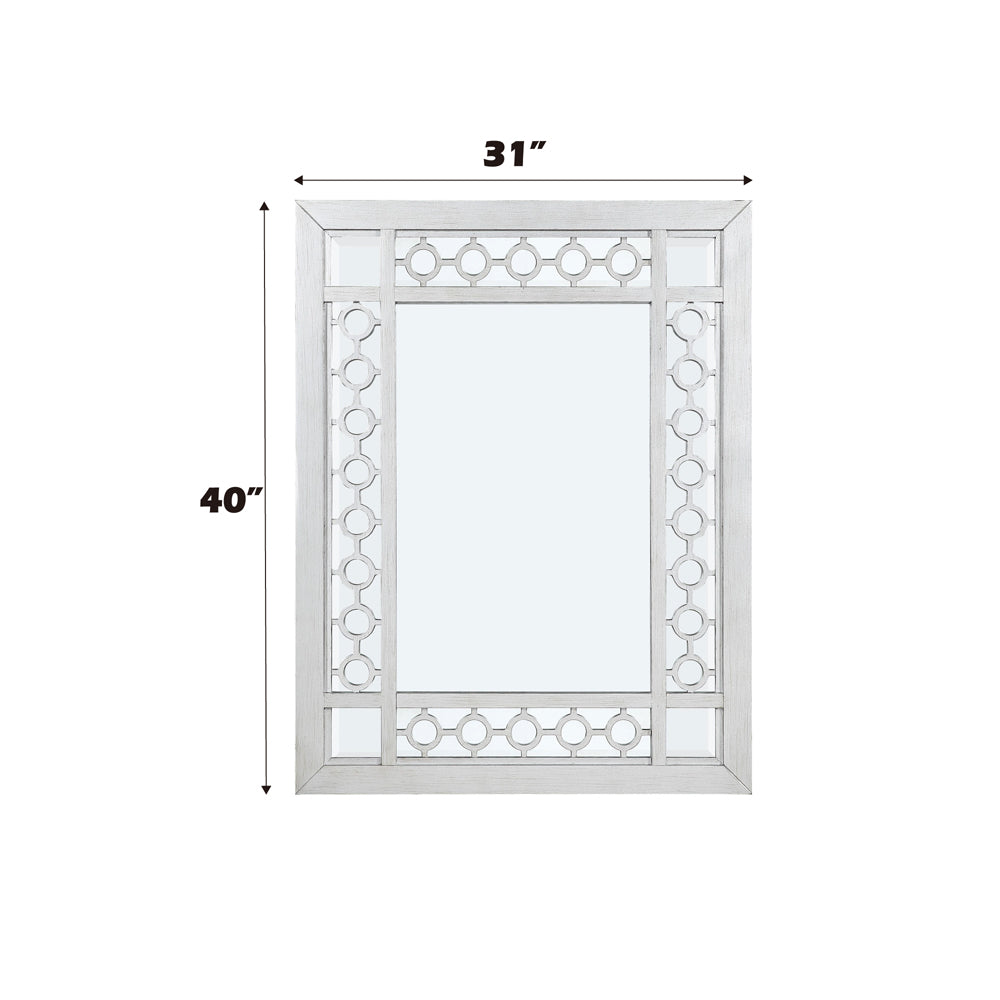 ACME Varian Mirrored & Antique Platinum Mirror Model 66158