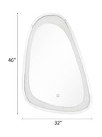 ACME Noralie Mirrored & Faux Diamonds Accent Mirror with LED Model 97708