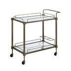 ACME Aditya Mirror & Antique Brass Serving Cart Model AC02597