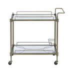 ACME Aditya Mirror & Antique Brass Serving Cart Model AC02597