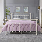 ACME Comet White Queen Bed Model BD00134Q