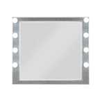 ACME Sliverfluff Mirrored & Champagne Mirror with Light Model BD00245