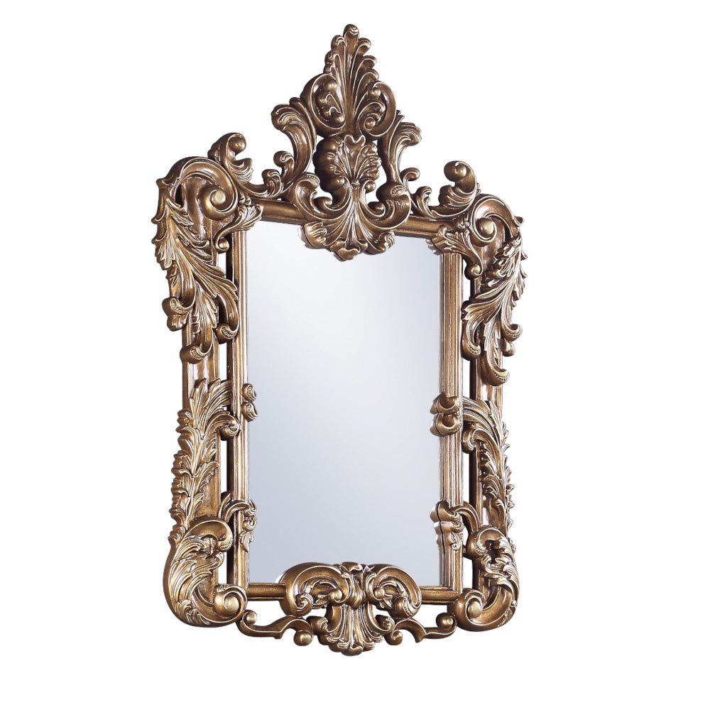 ACME Constantine Brown & Gold Mirror Model BD00473