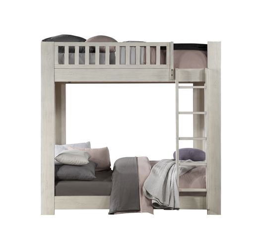 ACME Cedro Weathered White Bunk Bed (Twin | Twin)Model BD00612
