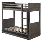 ACME Estevon Gray Oak Bunk Bed (Twin | Twin) with Storage Model BD00613
