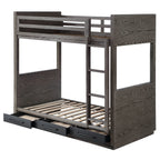 ACME Estevon Gray Oak Bunk Bed (Twin | Twin) with Storage Model BD00613