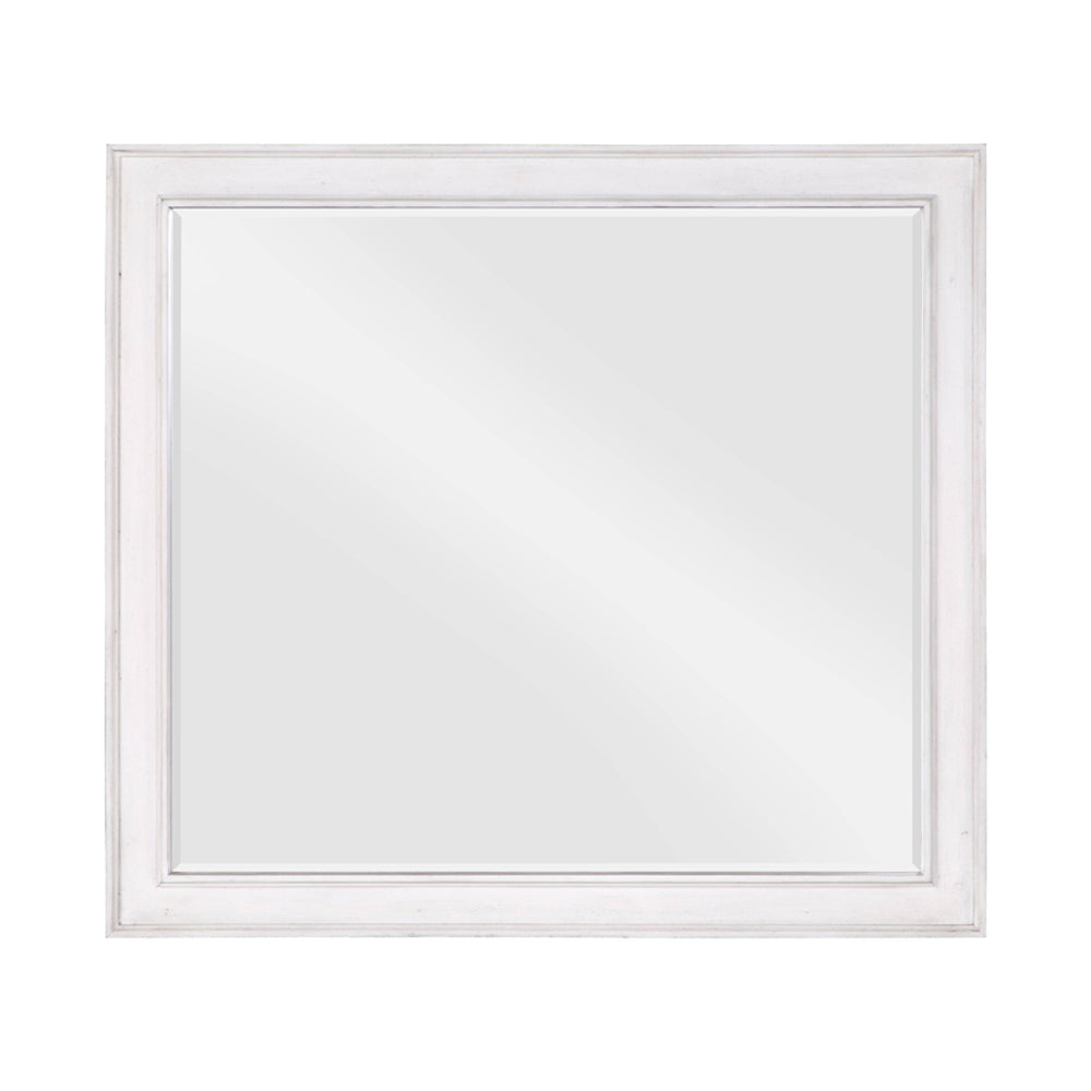 ACME Katia Rustic Gray & Weathered White Mirror Model BD00662