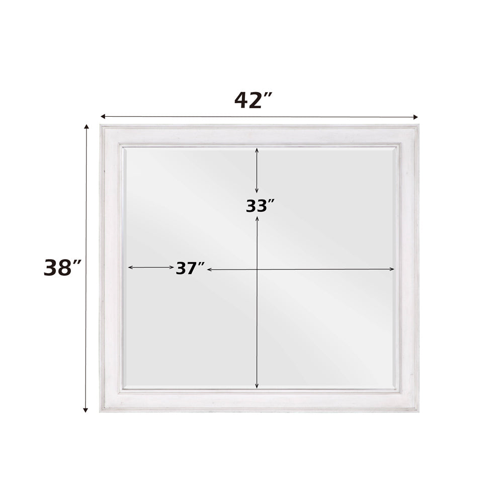 ACME Katia Rustic Gray & Weathered White Mirror Model BD00662