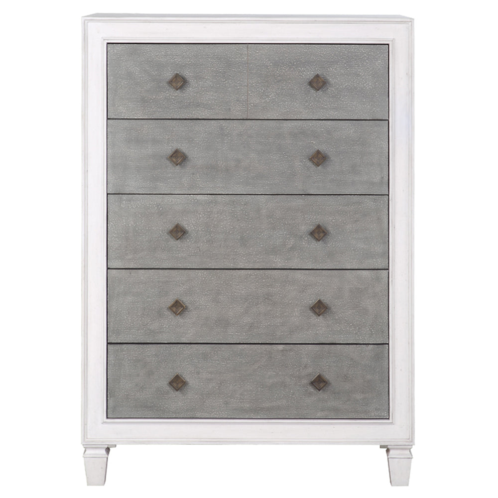 ACME Katia Rustic Gray & Weathered White Chest Model BD00664