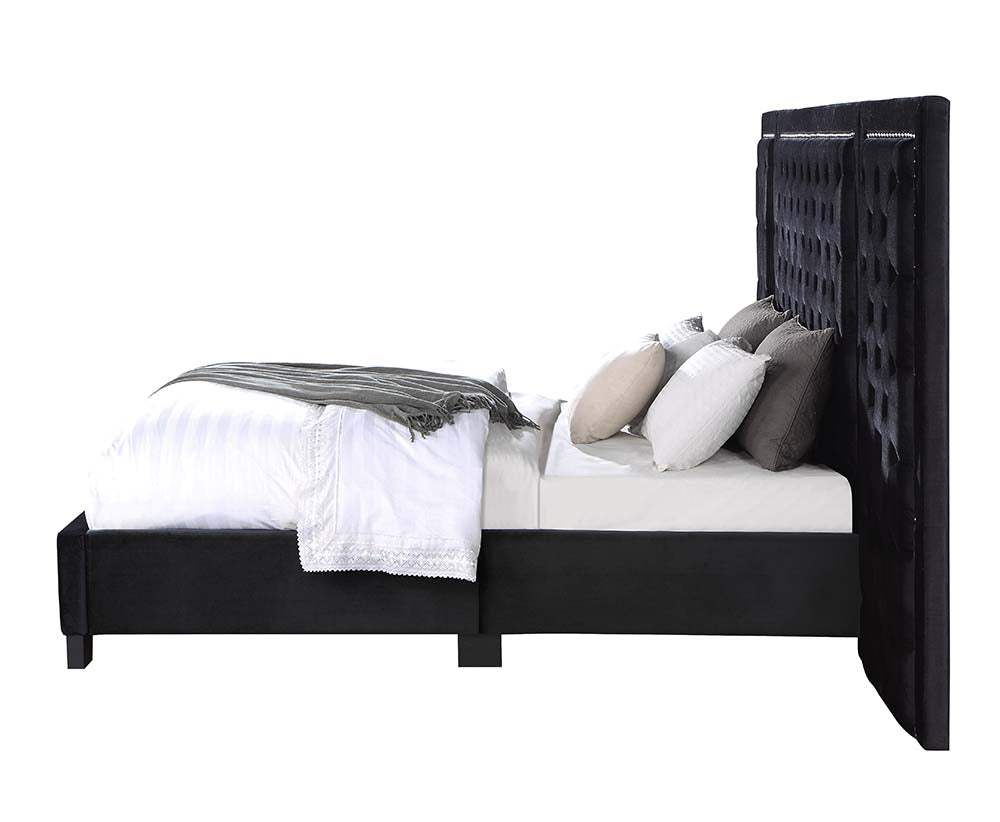 ACME Damazy Black Velvet Queen Bed Model BD00975Q