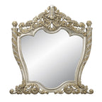 ACME Danae Champagne & Gold Mirror Model BD01236