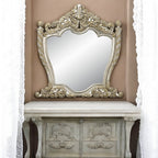 ACME Danae Champagne & Gold Mirror Model BD01236