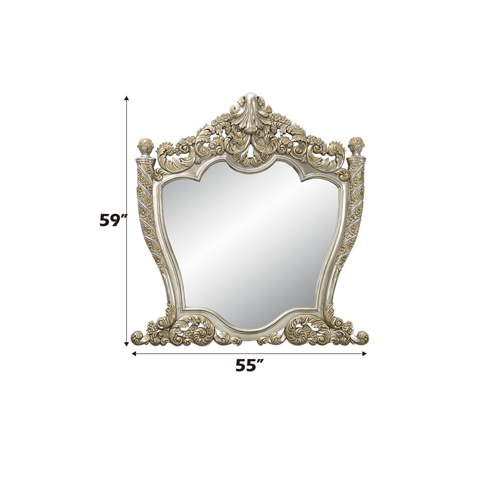 ACME Danae Champagne & Gold Mirror Model BD01236
