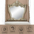 ACME Danae Champagne & Gold Mirror Model BD01236