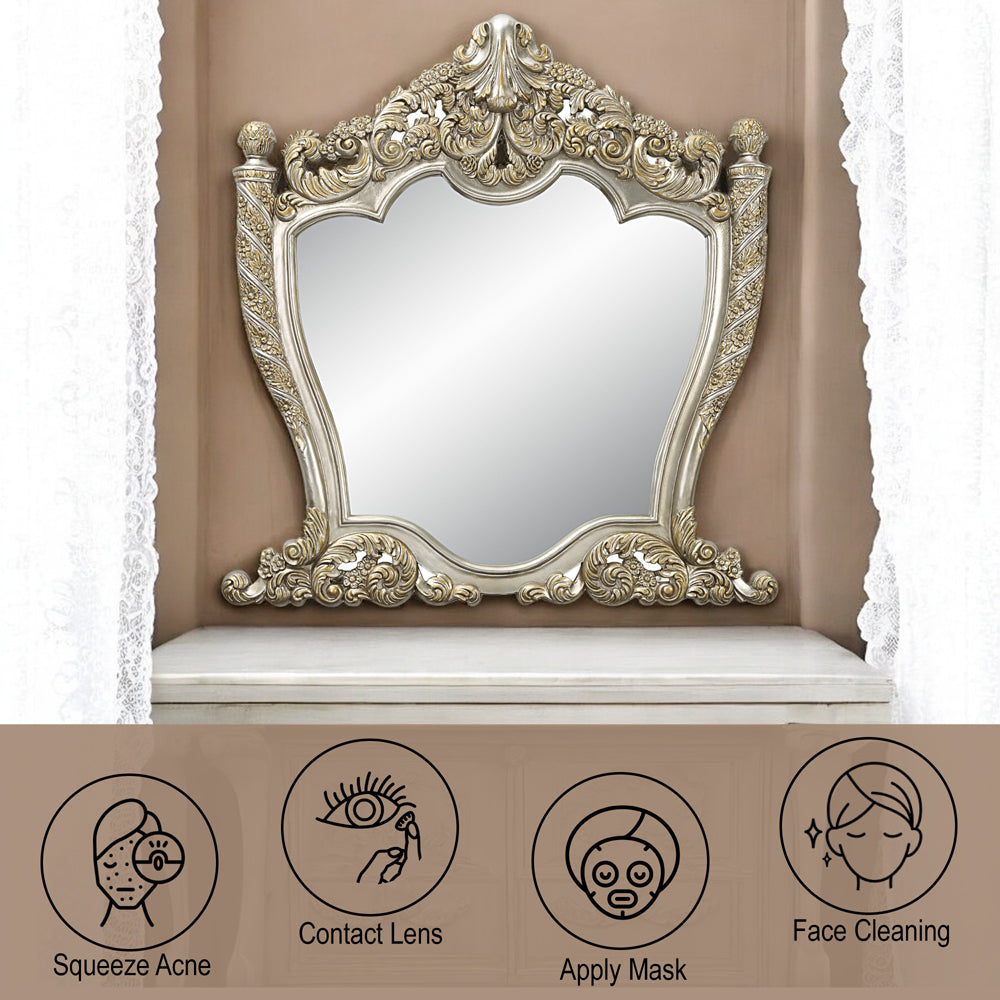 ACME Danae Champagne & Gold Mirror Model BD01236