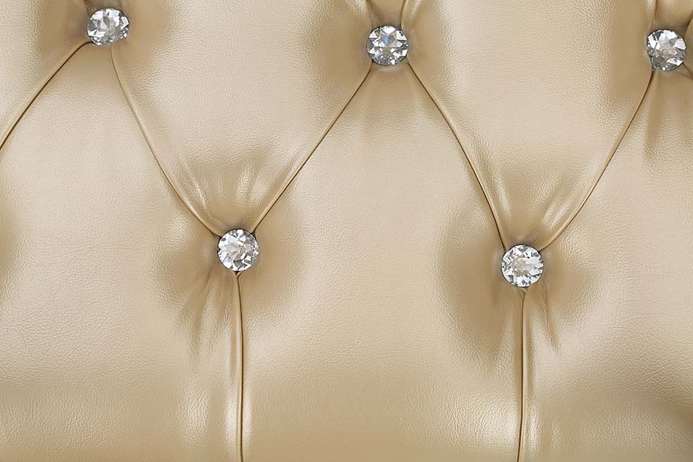 ACME Danae Champagne & Gold Bench Model BD01239