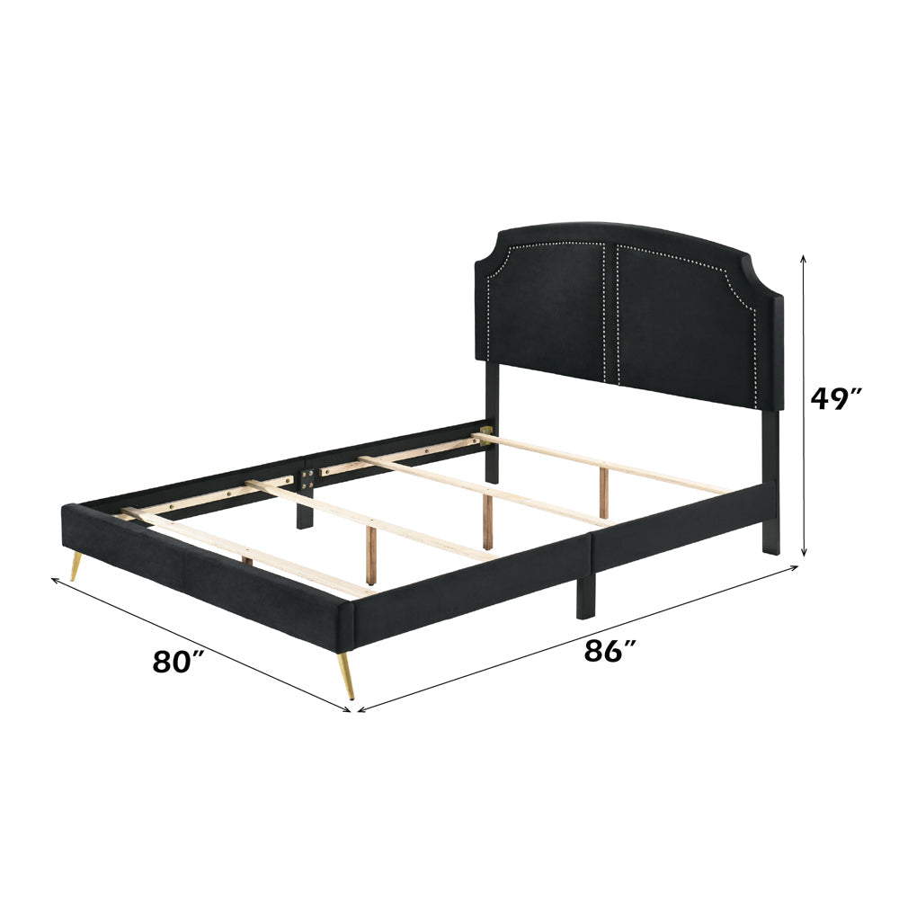 Lit ACME Zeena en velours noir, modèle King oriental BD01271EK