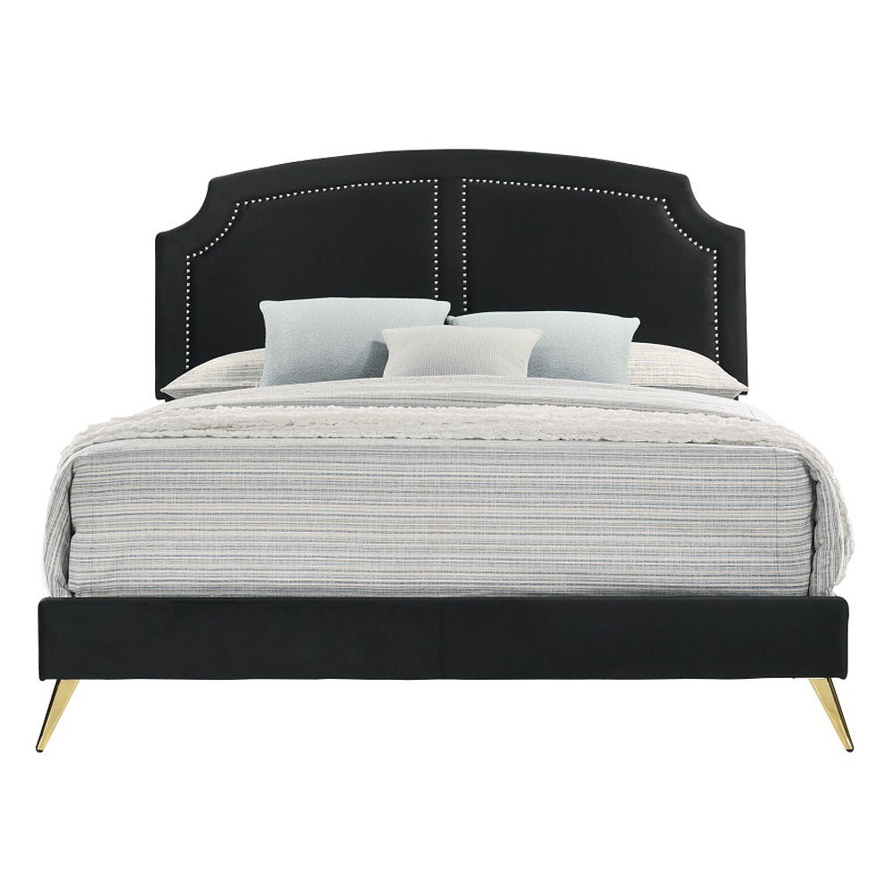 ACME Zeena Black Velvet Full Bed Model BD01461F