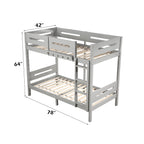ACME Edah Gray Bunk Bed (Twin | Twin)Model BD01913