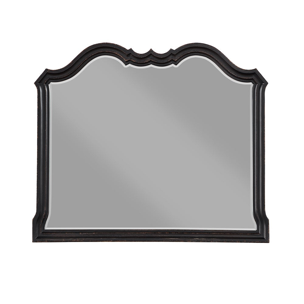 ACME Chelmsford Black Antique Mirror Model BD02298