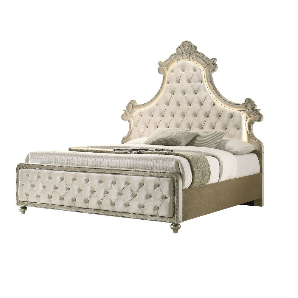 ACME Lucienne Beige Velvet Eastern King Bed with LED Model BD02334EK