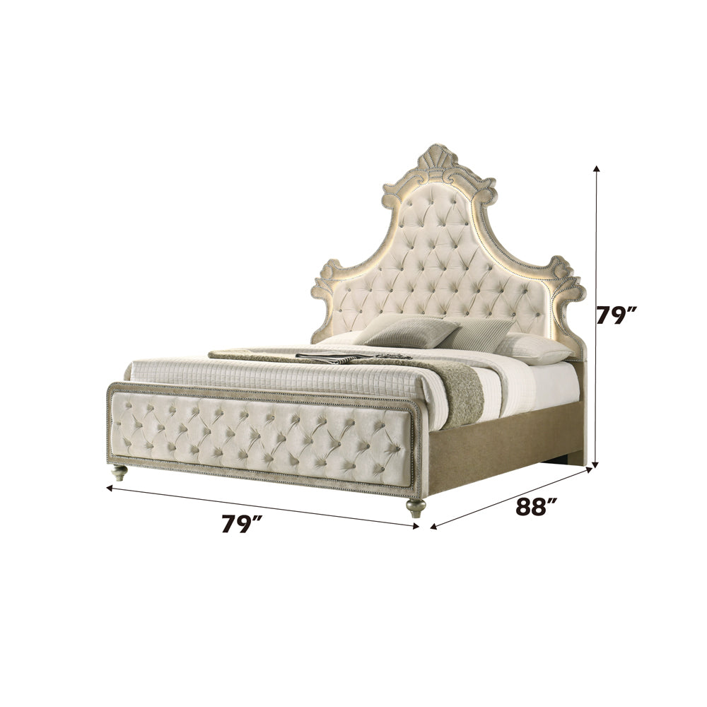 ACME Lucienne Beige Velvet Eastern King Bed with LED Model BD02334EK