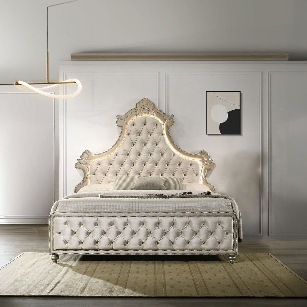 ACME Lucienne Beige Velvet Queen Bed with LED Model BD02335Q