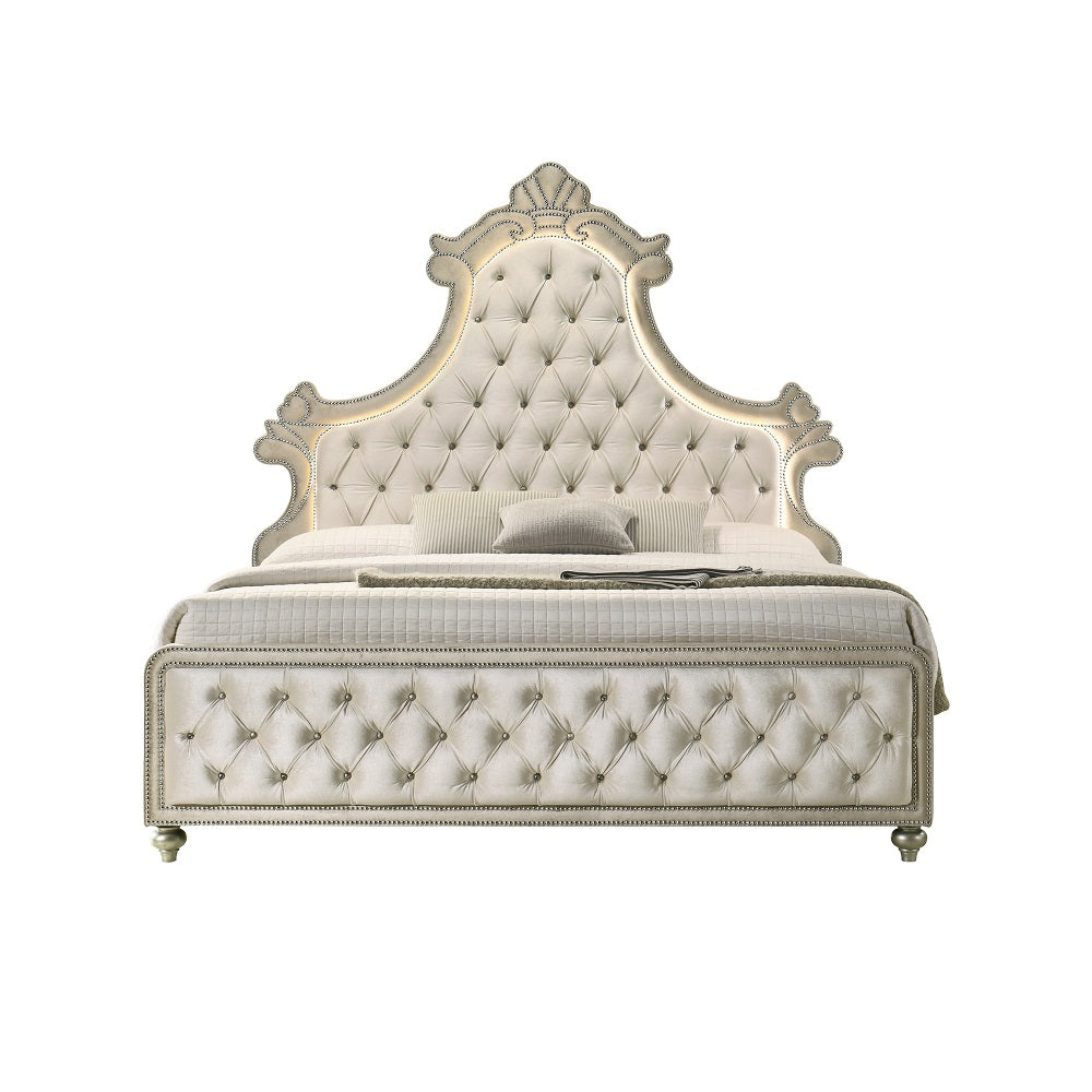 ACME Lucienne Beige Velvet Queen Bed with LED Model BD02335Q