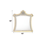 ACME Lucienne Beige Velvet Mirror with LED Model BD02337