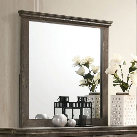Miroir de style transitionnel gris Fortworth de Furniture of America, modèle CM7186M